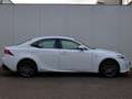 Lexus IS 300 300h F Sport Line | Full LED | Stoel/Stuurwiel ver Weiß - thumbnail 6