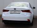 Lexus IS 300 300h F Sport Line | Full LED | Stoel/Stuurwiel ver Weiß - thumbnail 28