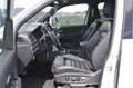 Volkswagen Amarok Aventura DoubleCab 4Motion Weiß - thumbnail 10
