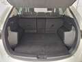 Mazda CX-5 Skyactiv D175 AWD Sports-Line, Kamera, ACC Blanco - thumbnail 11