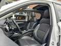 MG ZS MG EV Luxury 45 kWh PANODAK / LEER / STOELVERW. / Blanco - thumbnail 4