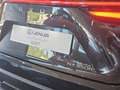 Lexus NX 350h Business City 2WD Schwarz - thumbnail 36