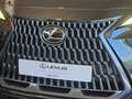 Lexus NX 350h Business City 2WD Schwarz - thumbnail 37