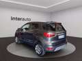 Ford EcoSport 1.0 ecoboost Titanium 100cv my19 Grigio - thumbnail 14
