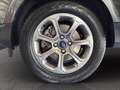 Ford EcoSport 1.0 ecoboost Titanium 100cv my19 Grigio - thumbnail 13