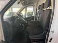 Fiat Ducato L2H1 35 140PS/KLIMA/PDC H/RADIO 103 kW (140 PS)... Weiß - thumbnail 7