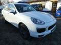Porsche Cayenne Diesel Platinum Edition 20"+Bose+BiXenon Weiß - thumbnail 1