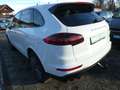 Porsche Cayenne Diesel Platinum Edition 20"+Bose+BiXenon Weiß - thumbnail 3