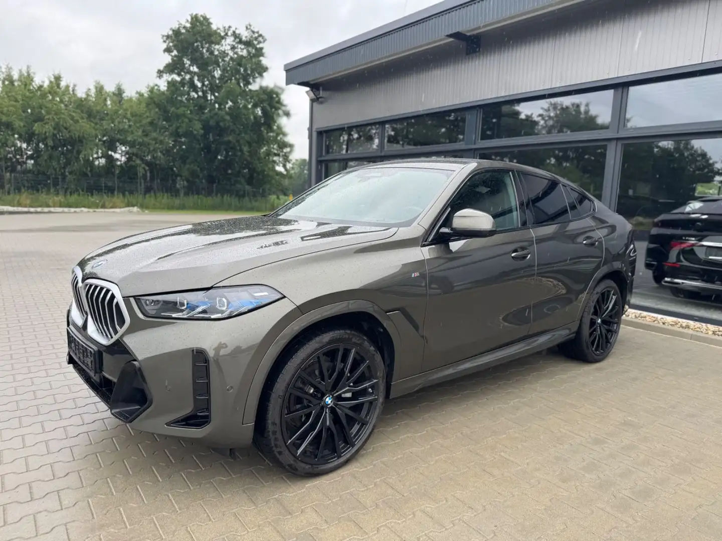 BMW X6 30d M Sport -Massage-BelüfSitz-Harman-360K-22 Vert - 1