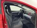 SEAT Ibiza 1.5 TSI S&S FR XS DSG7 150 Rojo - thumbnail 5