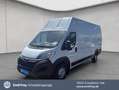 Opel Movano 2.2 D L4H3 2WD VA verstärkt Edition Blanc - thumbnail 1