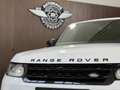 Land Rover Range Rover Sport 3,0 SDV6 Autobiography Dynamik-Paket Weiß - thumbnail 6