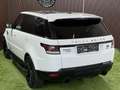 Land Rover Range Rover Sport 3,0 SDV6 Autobiography Dynamik-Paket Weiß - thumbnail 12