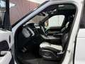 Land Rover Range Rover Sport 3,0 SDV6 Autobiography Dynamik-Paket Weiß - thumbnail 30