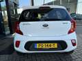 Kia Picanto 1.0 CVVT First Edition | Navigatie | Climate Contr Wit - thumbnail 5