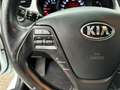 Kia Ceed SW / cee'd SW Ceed SW Silber+ 1.6 CRDI MT6 110 LP.: € 23.290,00 Weiß - thumbnail 11