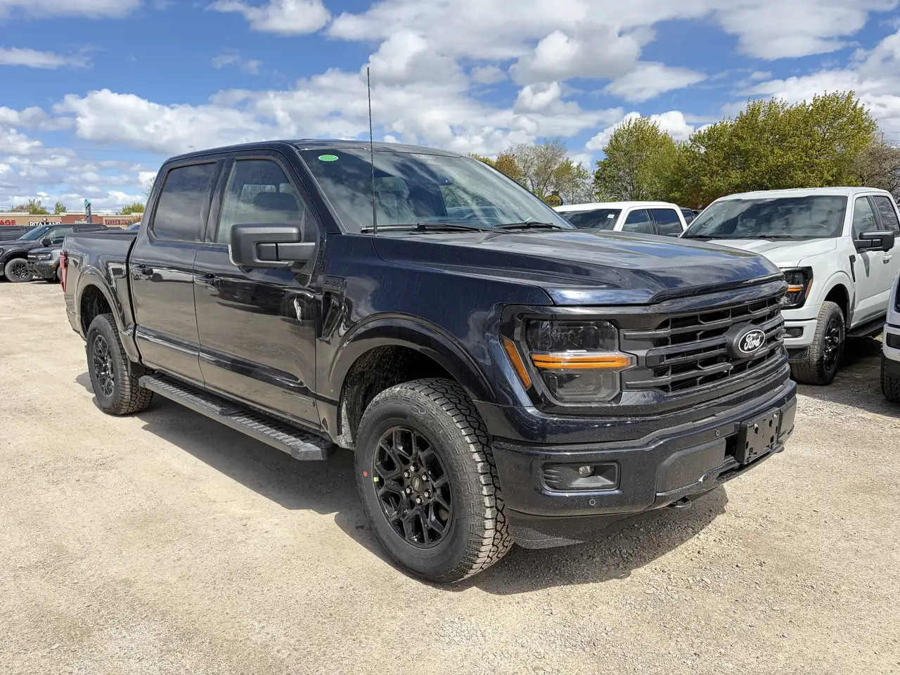 Ford F 150 снимка Ford F 150