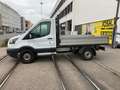 Ford Transit Wit - thumbnail 1
