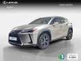 Lexus UX 250h 2.0 Business Plateado - thumbnail 1