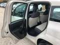 Fiat Panda Panda 0.9 twin air natural power Easy Beige - thumbnail 12
