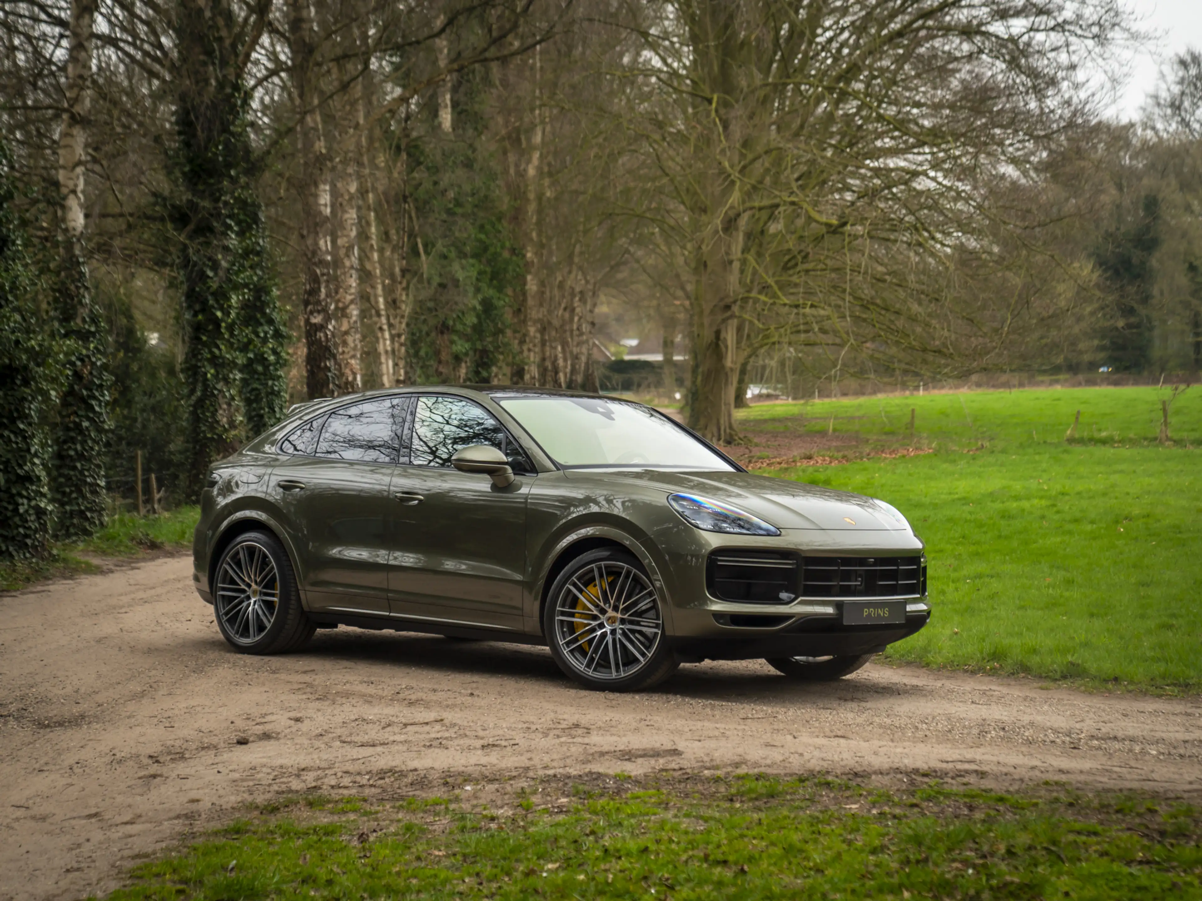 Porsche Cayenne Coupé 4.0 Turbo S E-Hybrid | PTS Oak Green | Keram — photo 19