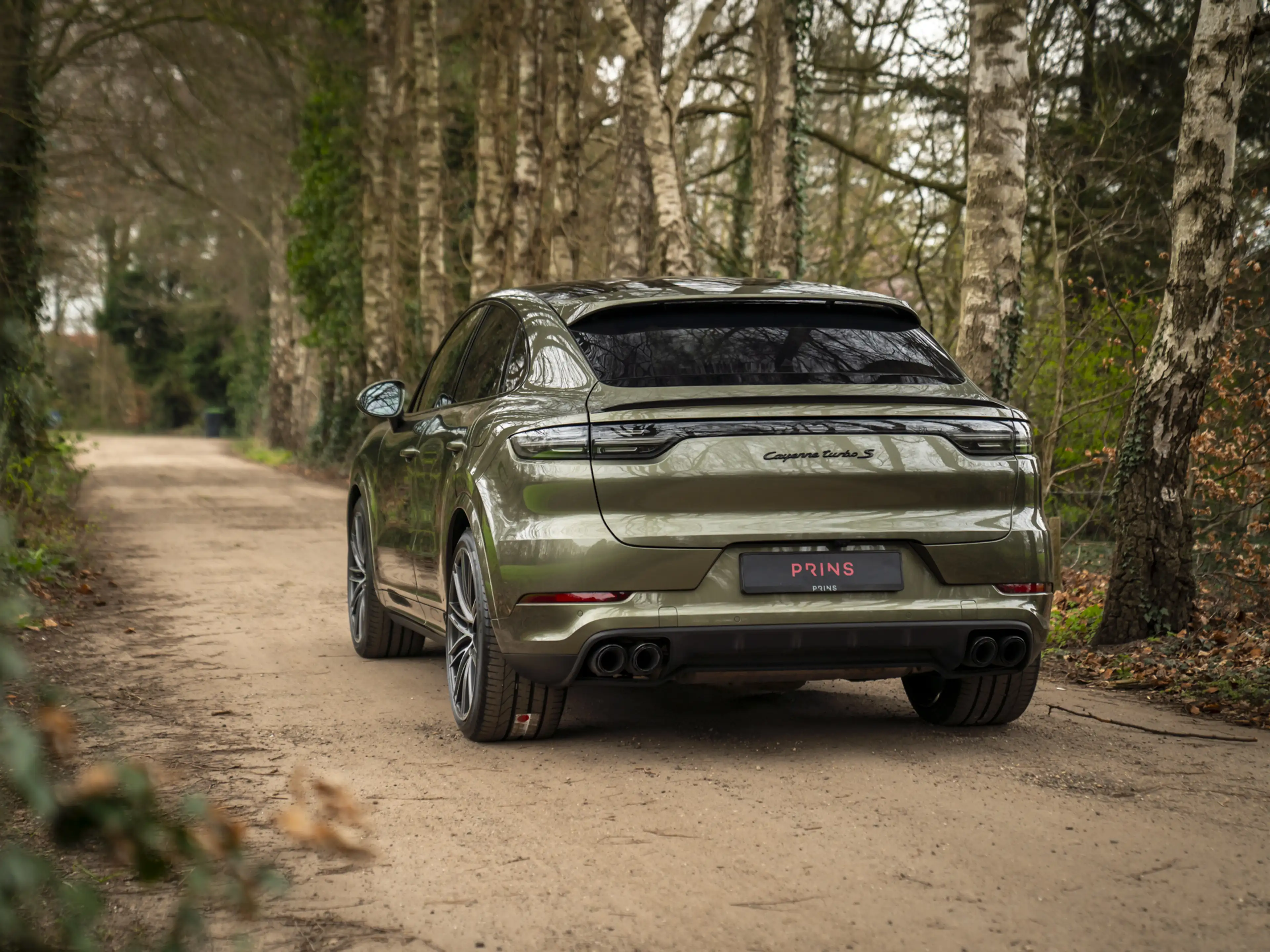 Porsche Cayenne Coupé 4.0 Turbo S E-Hybrid | PTS Oak Green | Keram — photo 24
