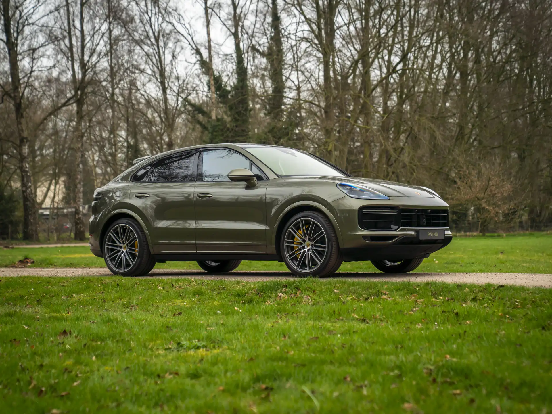 Porsche Cayenne S E-Hybrid 2022 카퍼 사진 3
