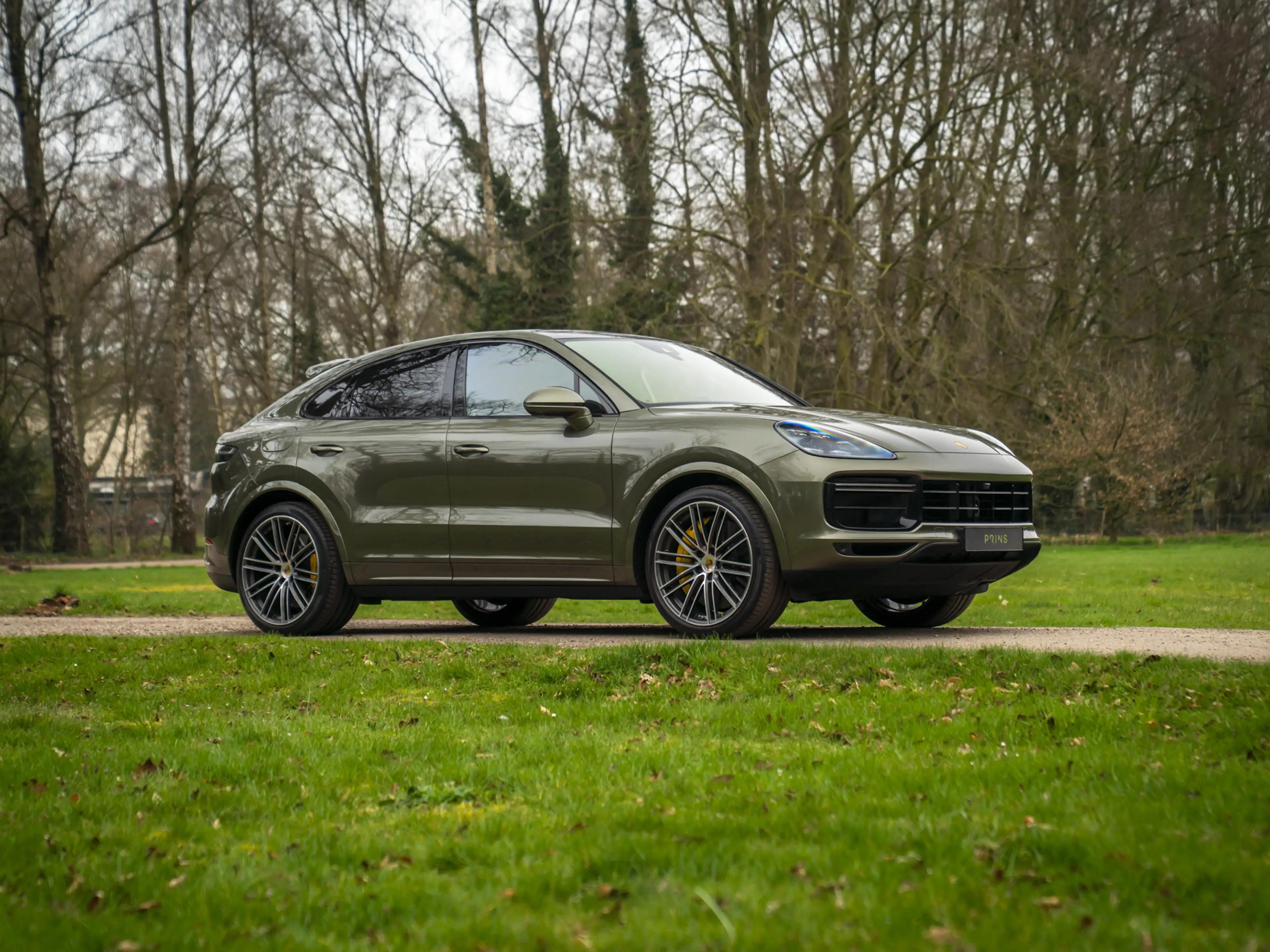 Porsche Cayenne Coupé 4.0 Turbo S E-Hybrid | PTS Oak Green | Keram — photo 3