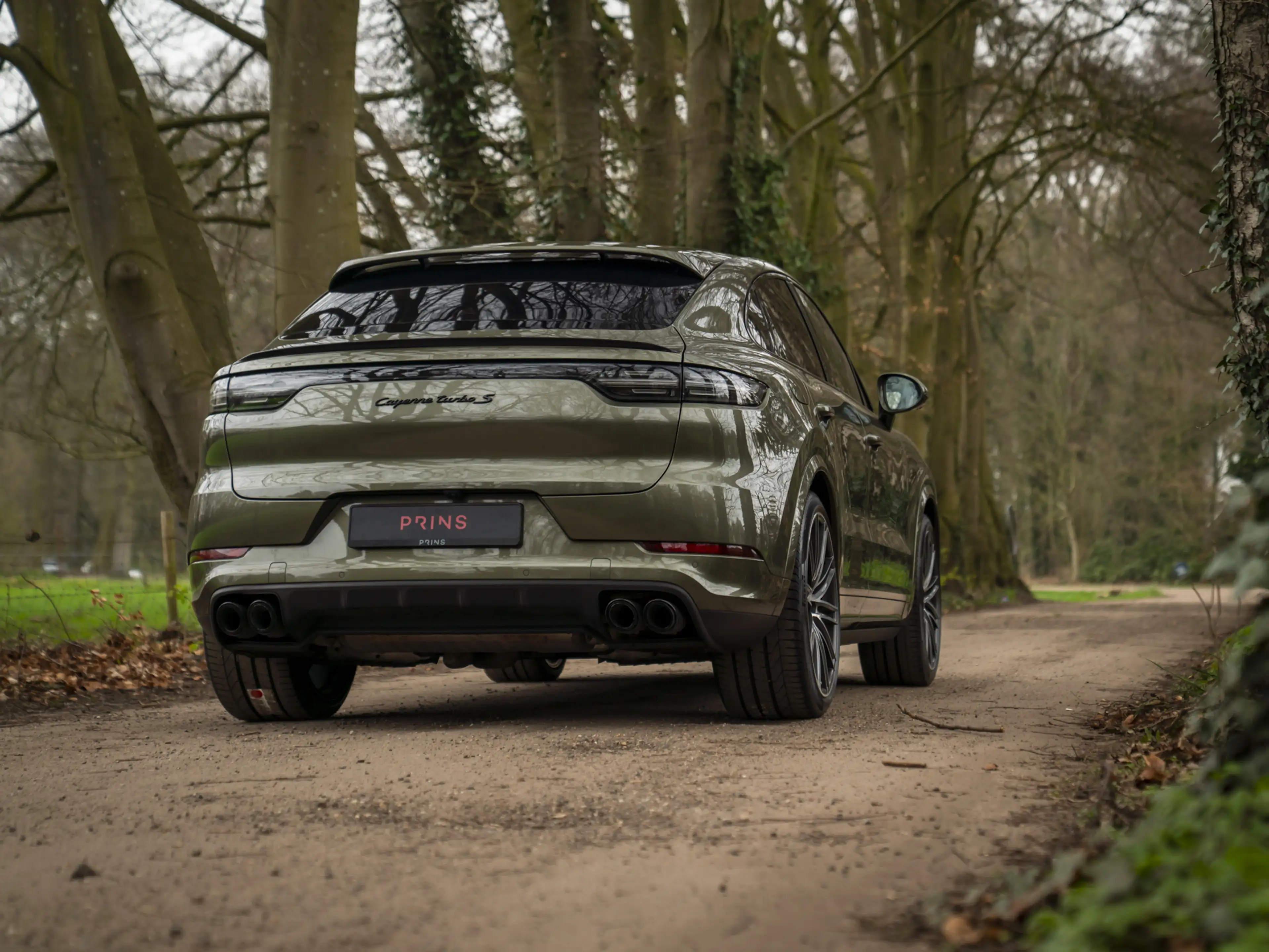 Porsche Cayenne Coupé 4.0 Turbo S E-Hybrid | PTS Oak Green | Keram — photo 22