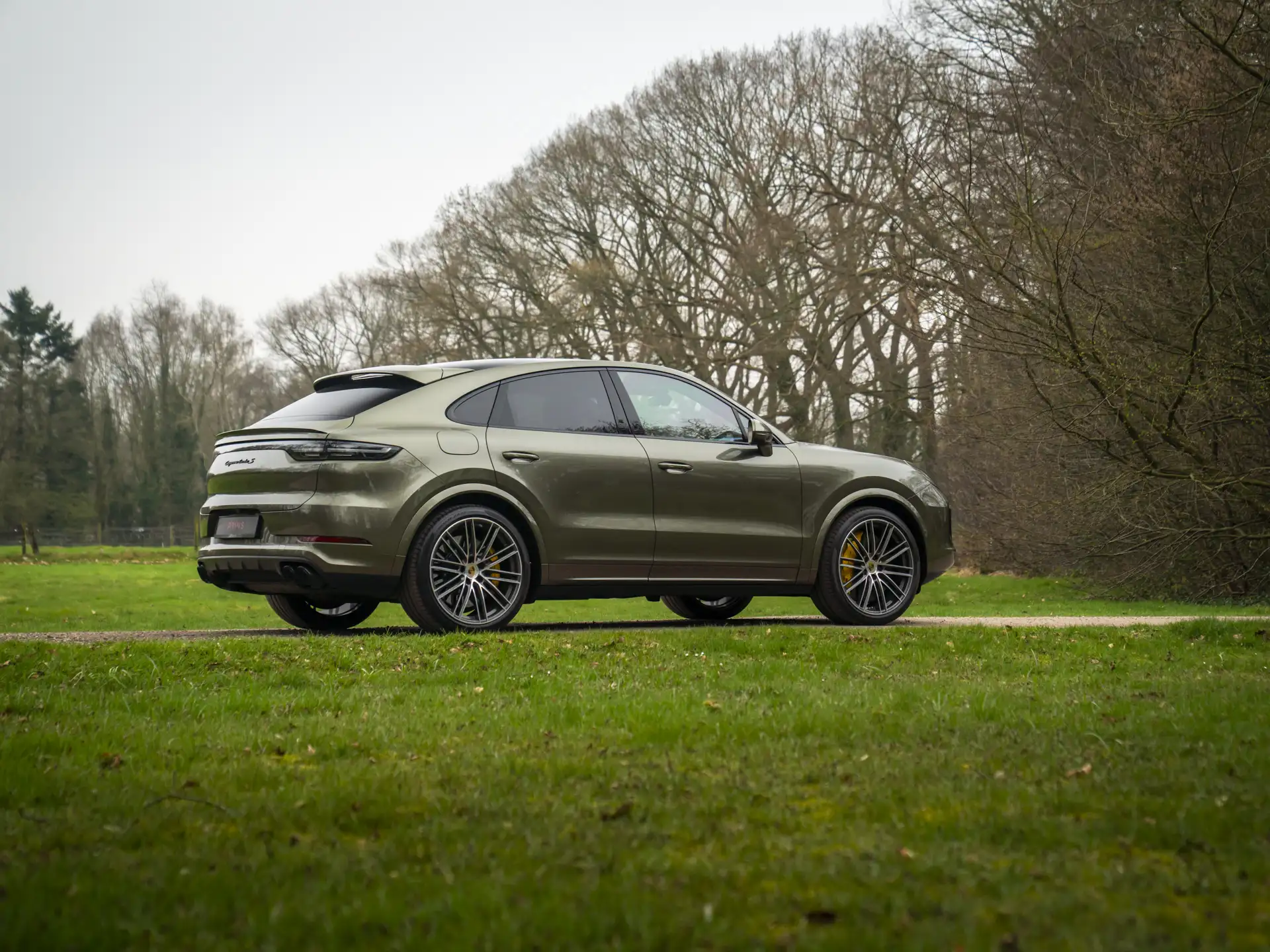 Porsche Cayenne S E-Hybrid 2022 카퍼 사진 6