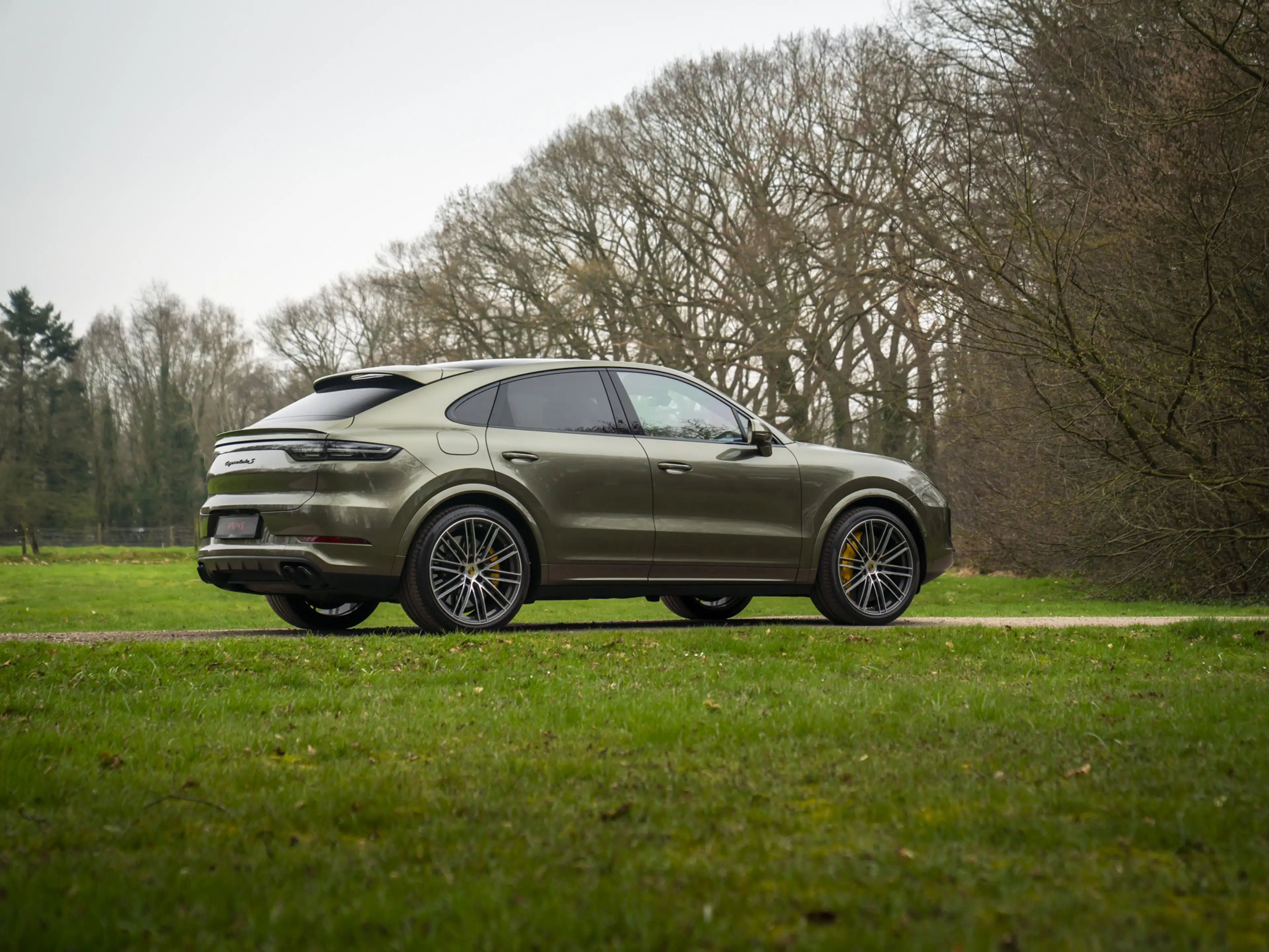 Porsche Cayenne Coupé 4.0 Turbo S E-Hybrid | PTS Oak Green | Keram — photo 6