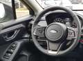 Subaru Crosstrek 2.0 ie Comfort -weitere 250 Fahrzeuge lieferbar- Grau - thumbnail 12