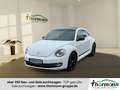 Volkswagen Beetle 1.2 TSI BMT Club Pano BiXenon LM 2xKlima Weiß - thumbnail 1