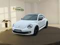 Volkswagen Beetle 1.2 TSI BMT Club Pano BiXenon LM 2xKlima Weiß - thumbnail 2
