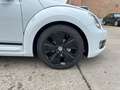 Volkswagen Beetle 1.2 TSI BMT Club Pano BiXenon LM 2xKlima Blanco - thumbnail 14