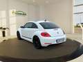 Volkswagen Beetle 1.2 TSI BMT Club Pano BiXenon LM 2xKlima Blanco - thumbnail 11