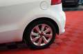 Kia Rio 1.2 Dream Team 1.Hand*Klimaaut*Sitzh*8Fach* Blanco - thumbnail 11