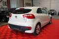 Kia Rio 1.2 Dream Team 1.Hand*Klimaaut*Sitzh*8Fach* Blanco - thumbnail 7