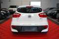 Kia Rio 1.2 Dream Team 1.Hand*Klimaaut*Sitzh*8Fach* Blanco - thumbnail 8