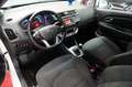 Kia Rio 1.2 Dream Team 1.Hand*Klimaaut*Sitzh*8Fach* Blanco - thumbnail 13