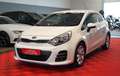 Kia Rio 1.2 Dream Team 1.Hand*Klimaaut*Sitzh*8Fach* Blanco - thumbnail 1