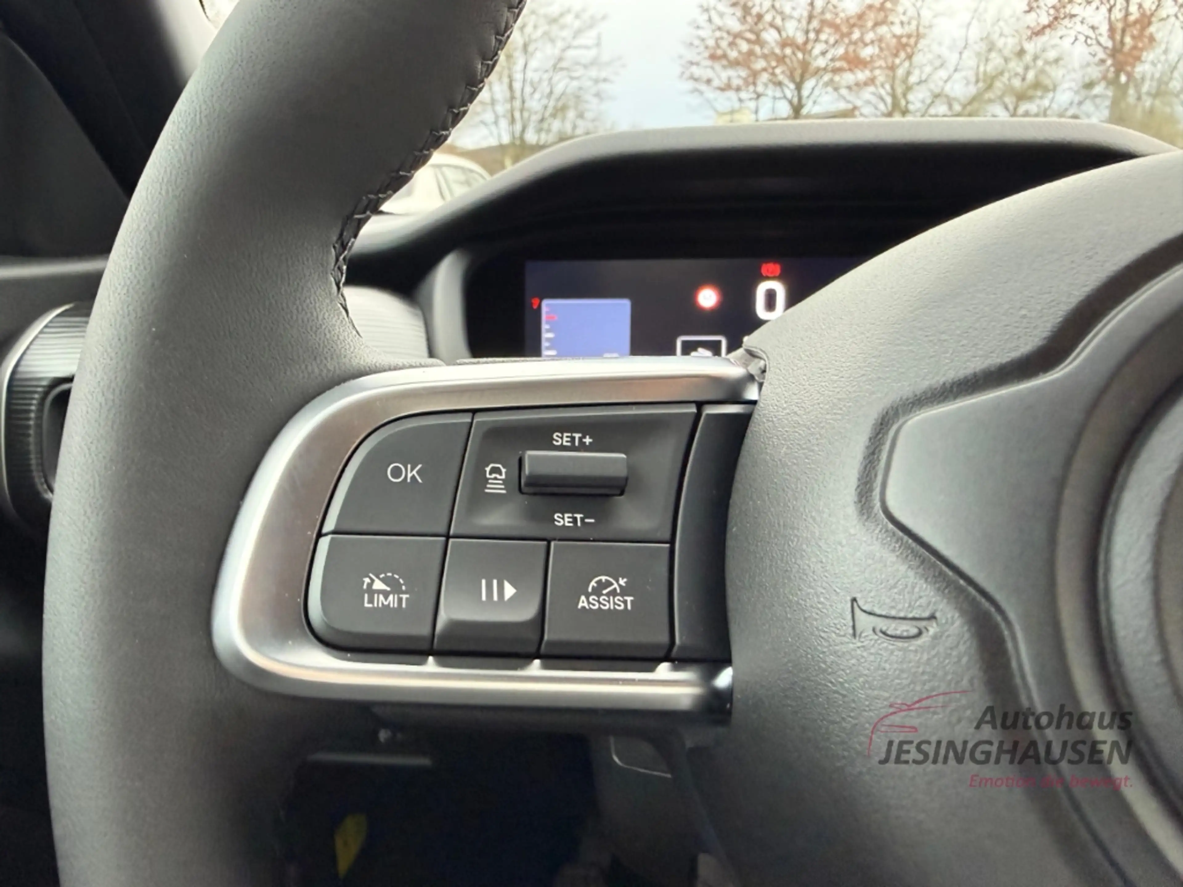 Jeep Avenger Altitude LED*ACC*Winter-P.*Allwetter*Android Auto* — photo 17