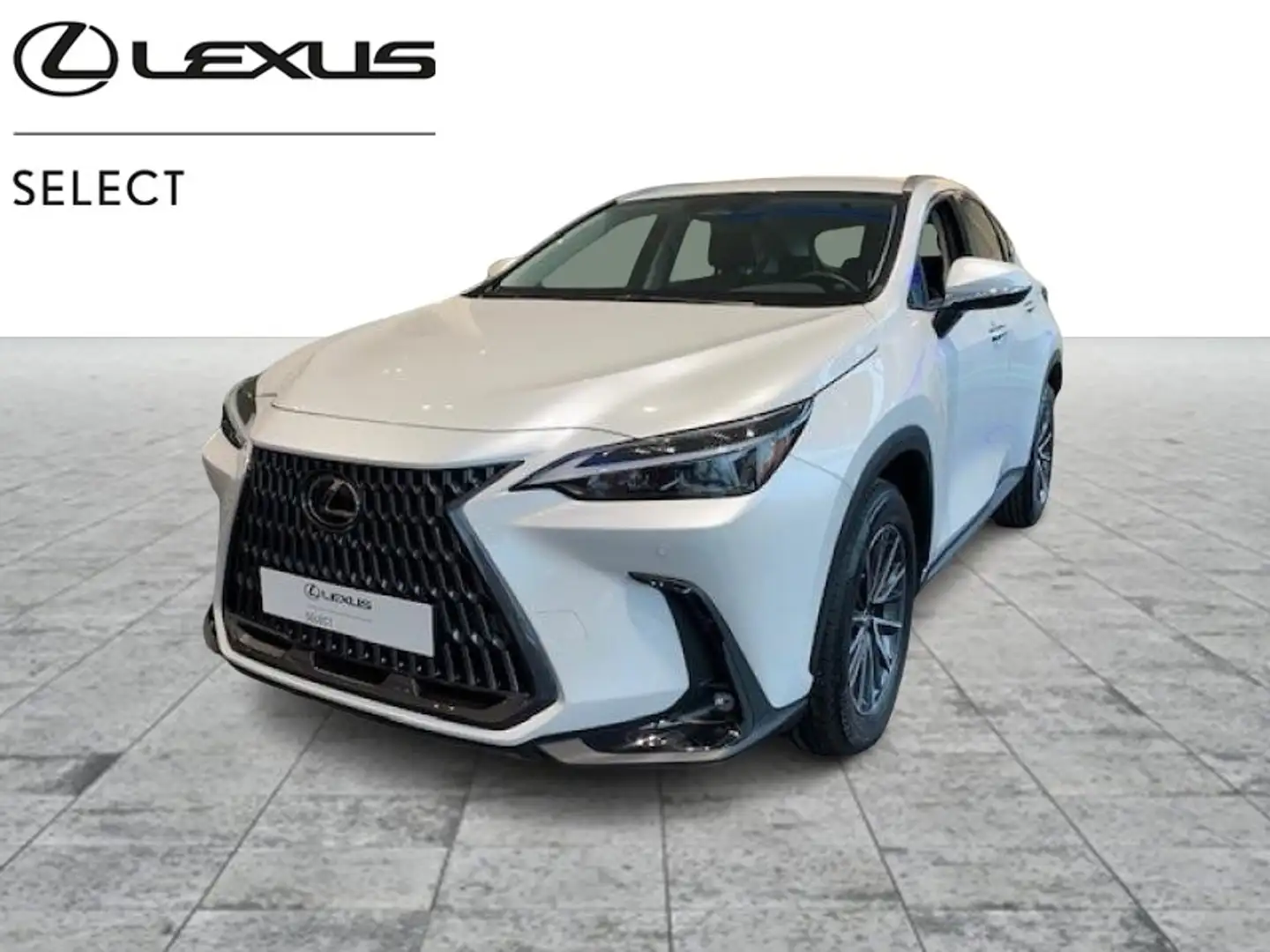 Lexus NX 350h First Edition bijela - 1