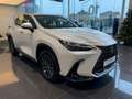 Lexus NX 350h First Edition Wit - thumbnail 2