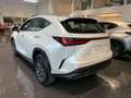 Lexus NX 350h First Edition Wit - thumbnail 4