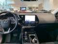 Lexus NX 350h First Edition Blanco - thumbnail 7