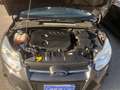 Ford Focus SW 1.6 tdci Plus Business 115cv Grau - thumbnail 4
