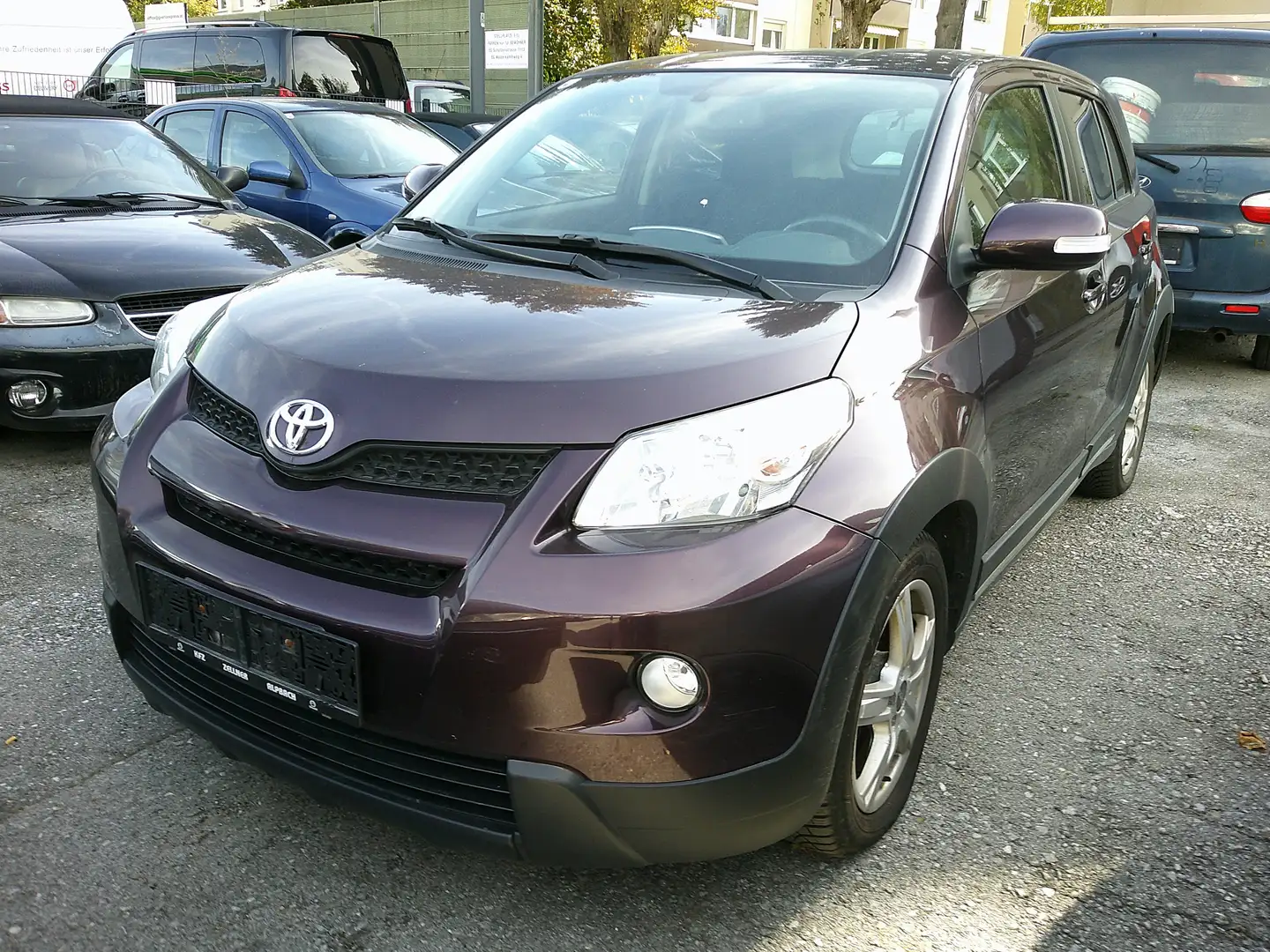 Toyota Urban Cruiser Basis Violett - 1
