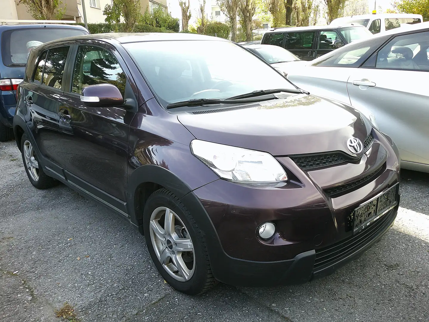 Toyota Urban Cruiser Basis Violett - 2
