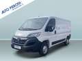 Opel Movano 2.2 D L2H1 2WD Kasten Edition Weiß - thumbnail 1